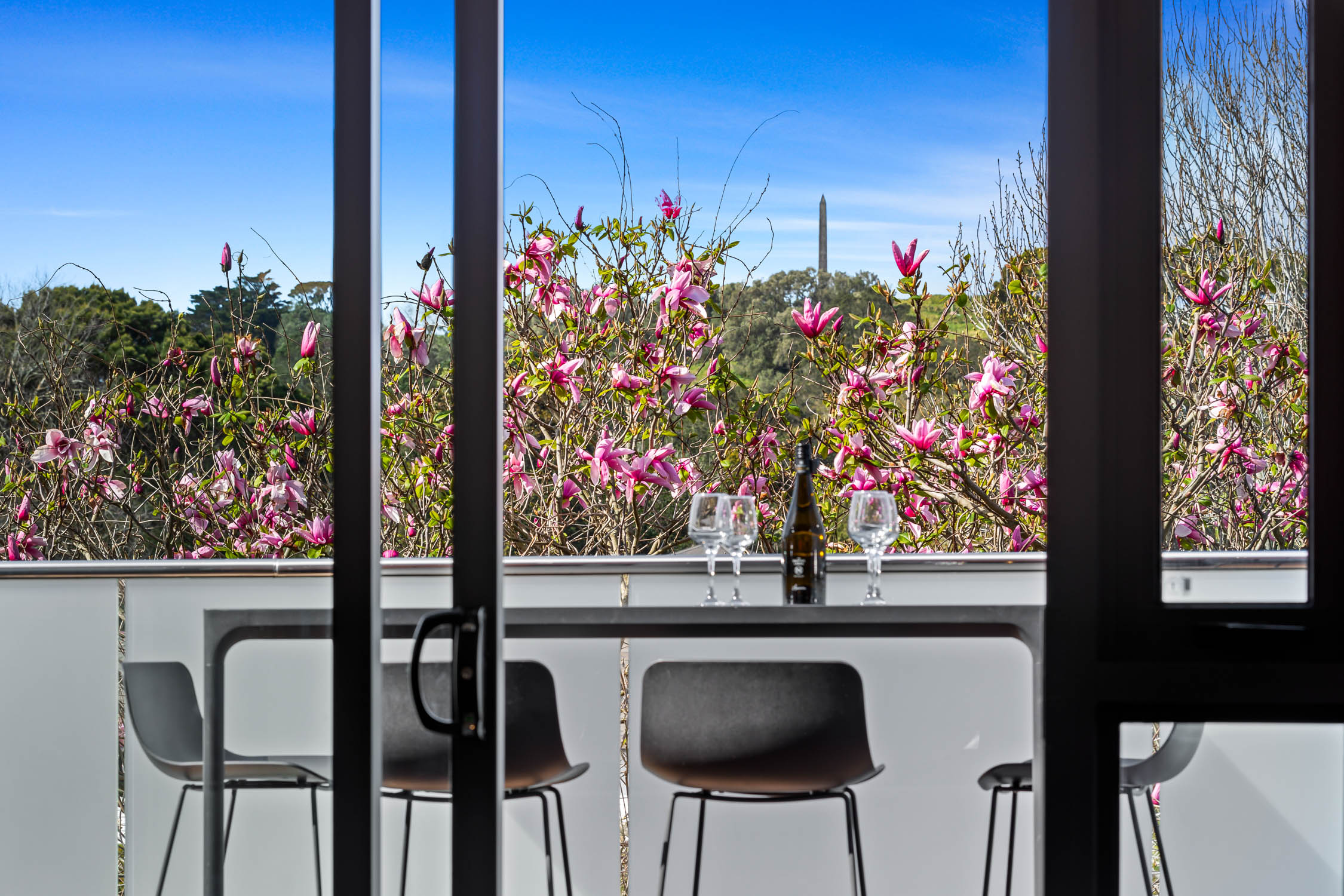 209/572 Manukau Road Epsom